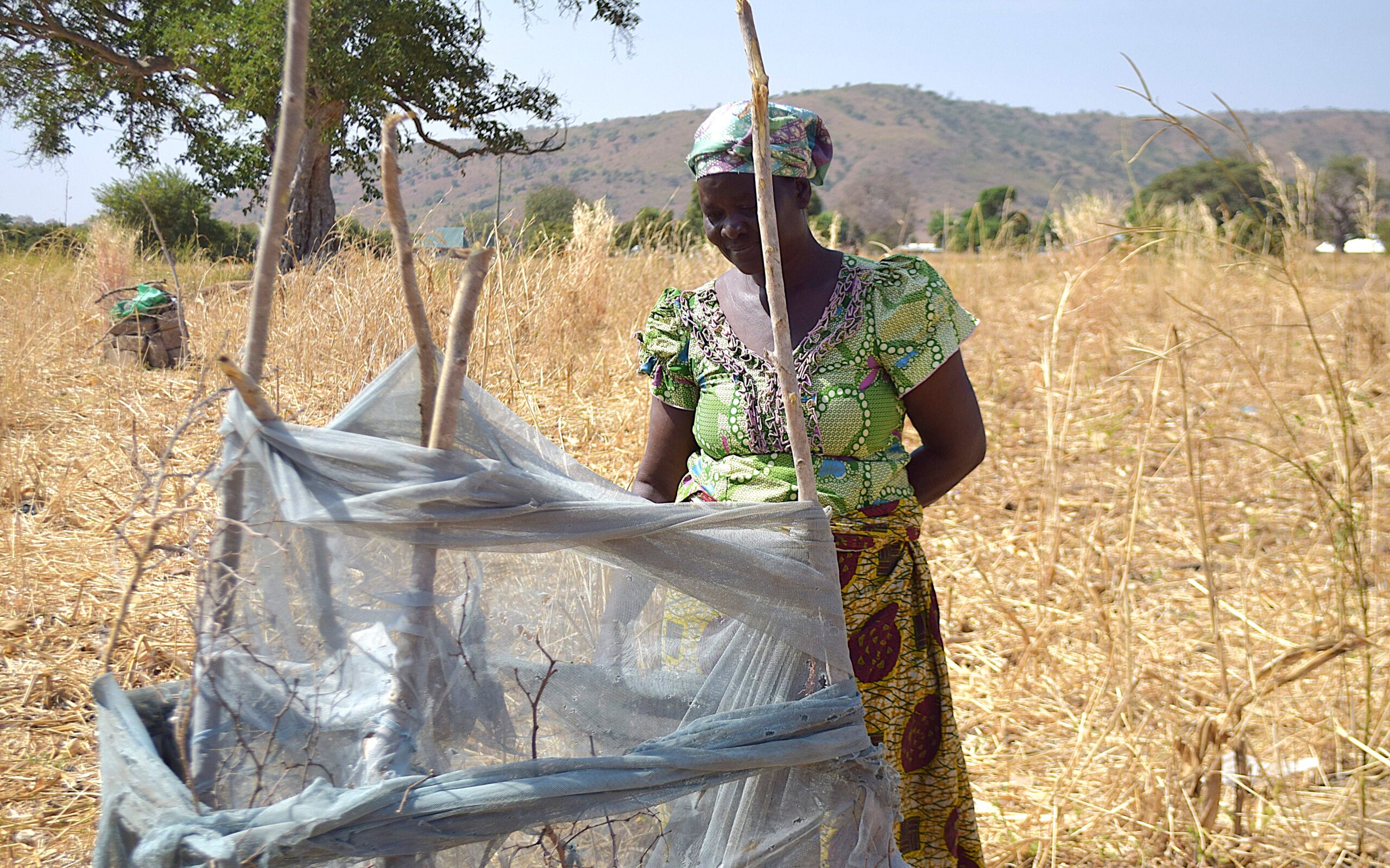 Helping raise seedlings, plant frees, monitor progress and train communities at IDEAS Ghana