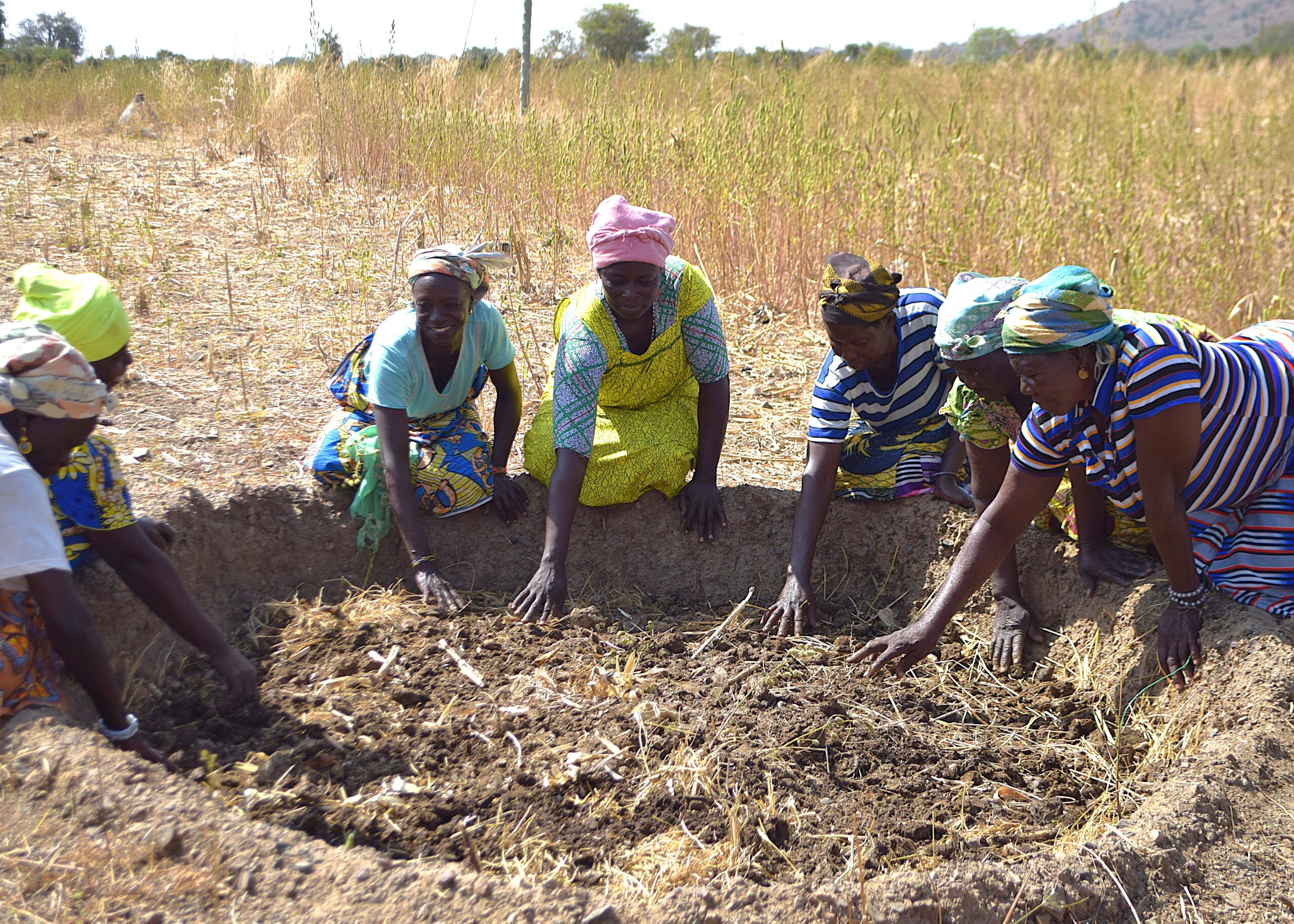 Elderly women farmers showing their post-harvest land management practices