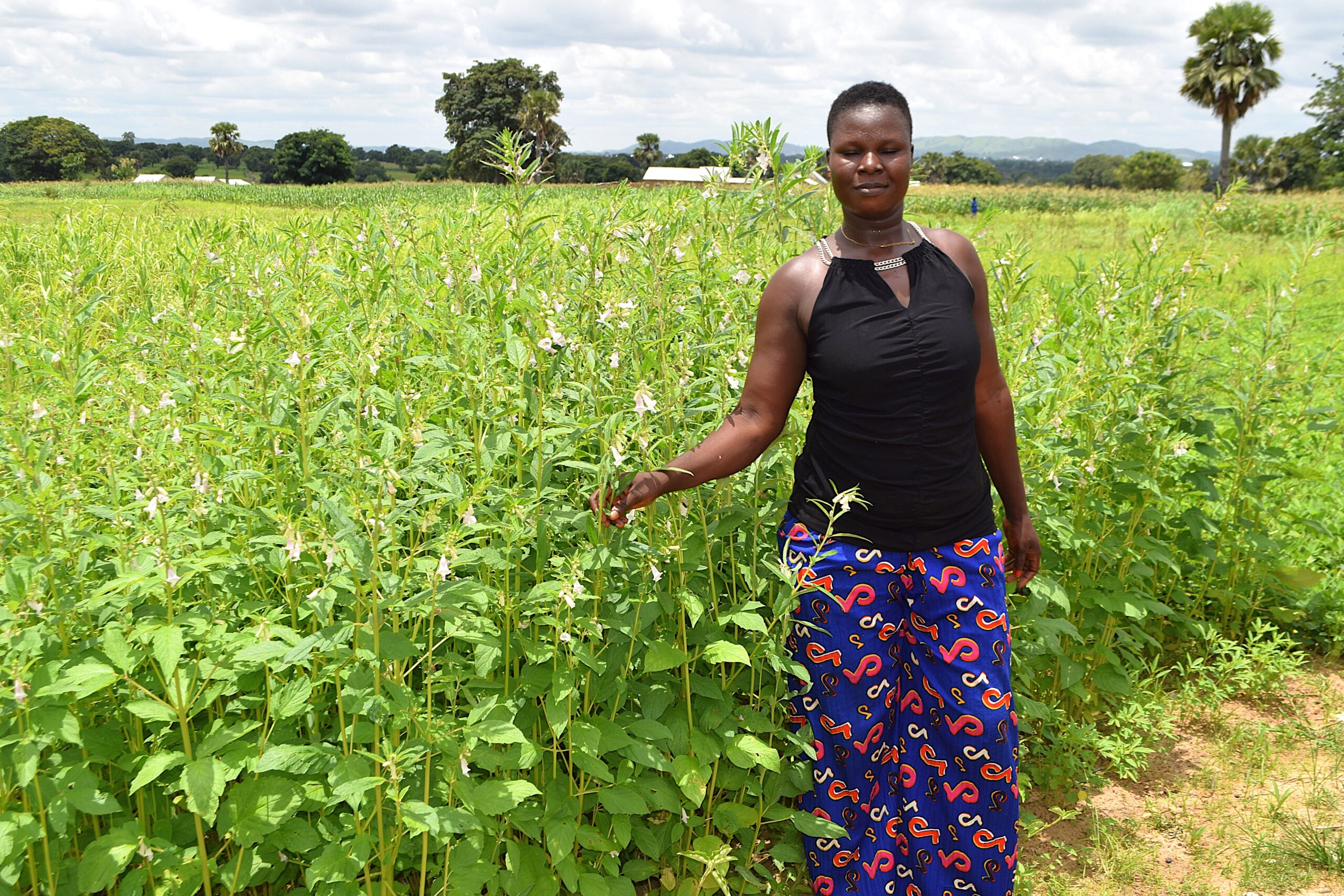 Upper East Region during the rainy season